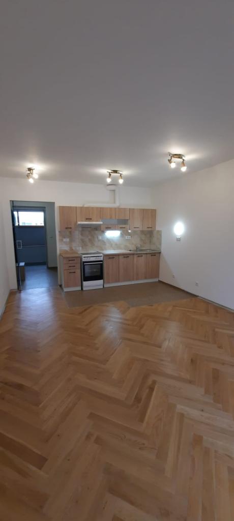 Pronajem bytu 1+kk 43 m2