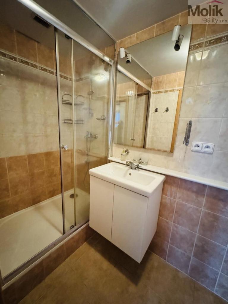 Pronájem bytu 2+kk 43 m2