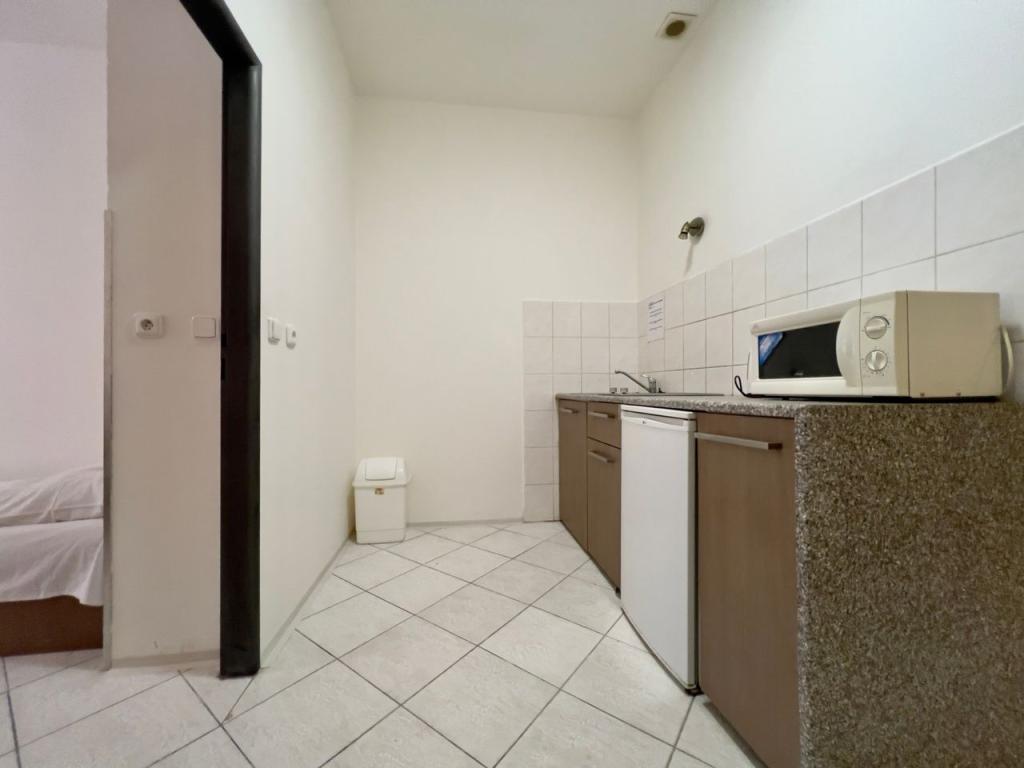 Pronájem bytu 1+1 45 m2