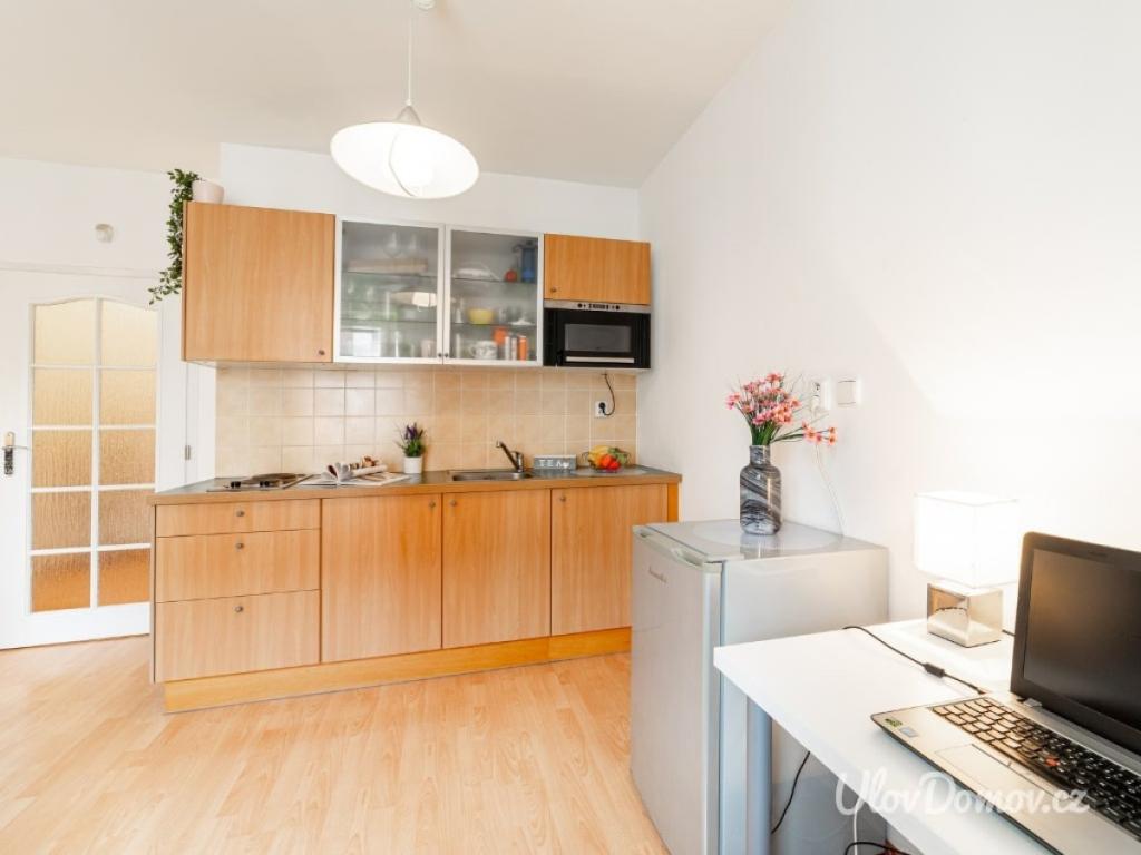 Pronájem bytu 1+kk 33 m2