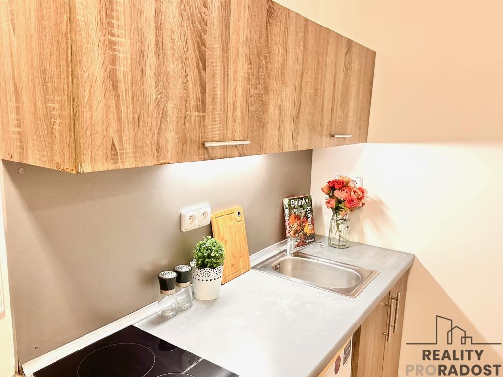 Pronájem bytu 1+kk 45 m² - Widok 3