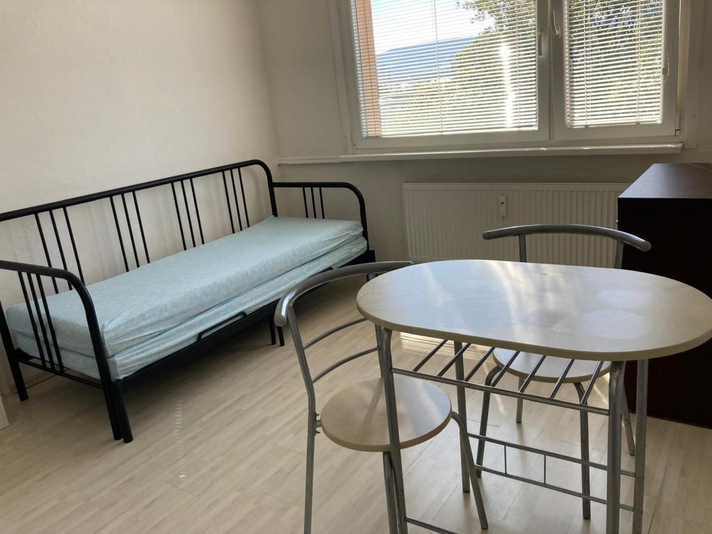Pronájem bytu 1+kk 22 m2, Liberec – náhled fotky 4