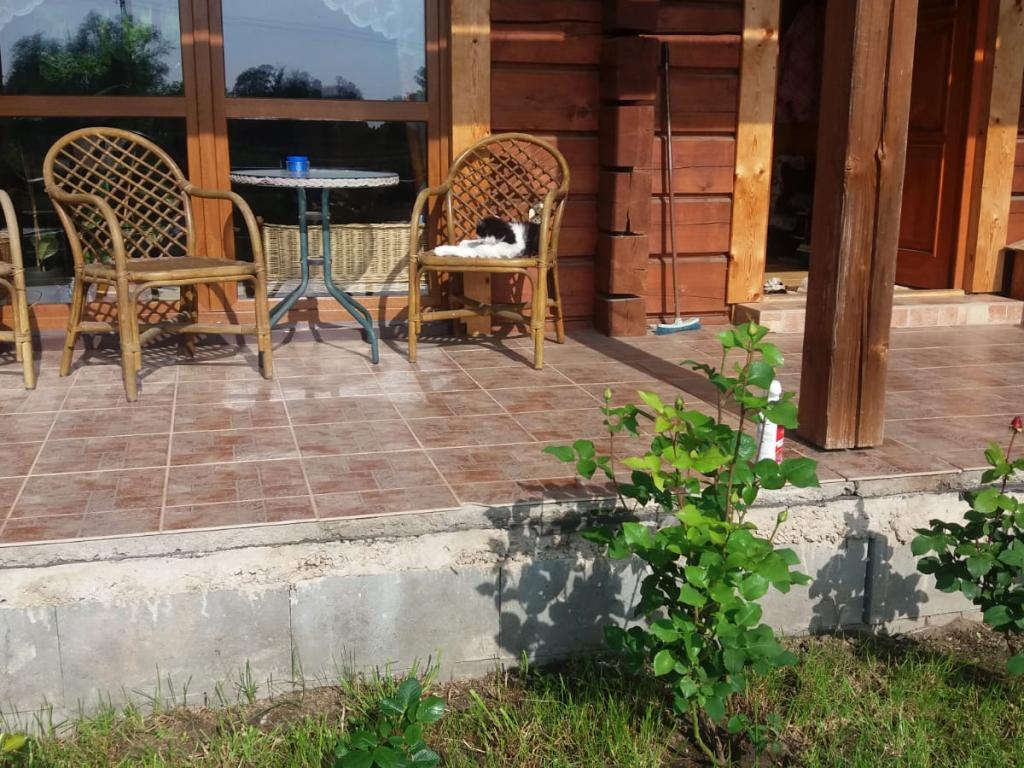 Pronajem bytu 1+kk 45 m2