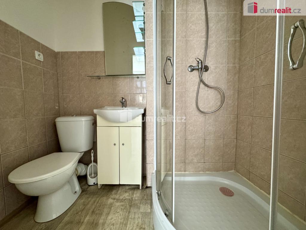 Pronájem bytu 1+1 55 m2