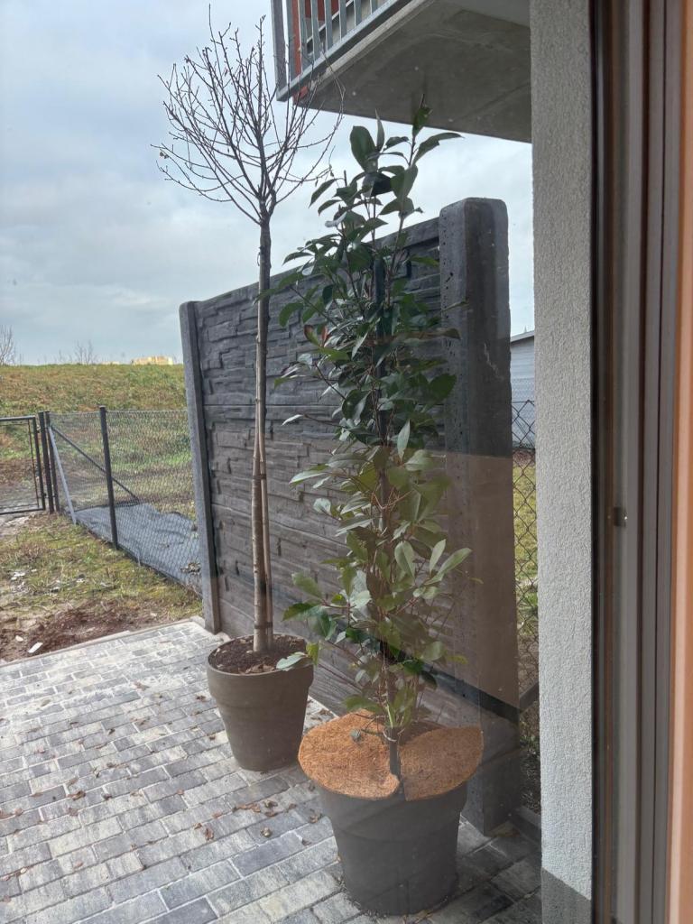 Pronájem bytu 1+kk 40 m2