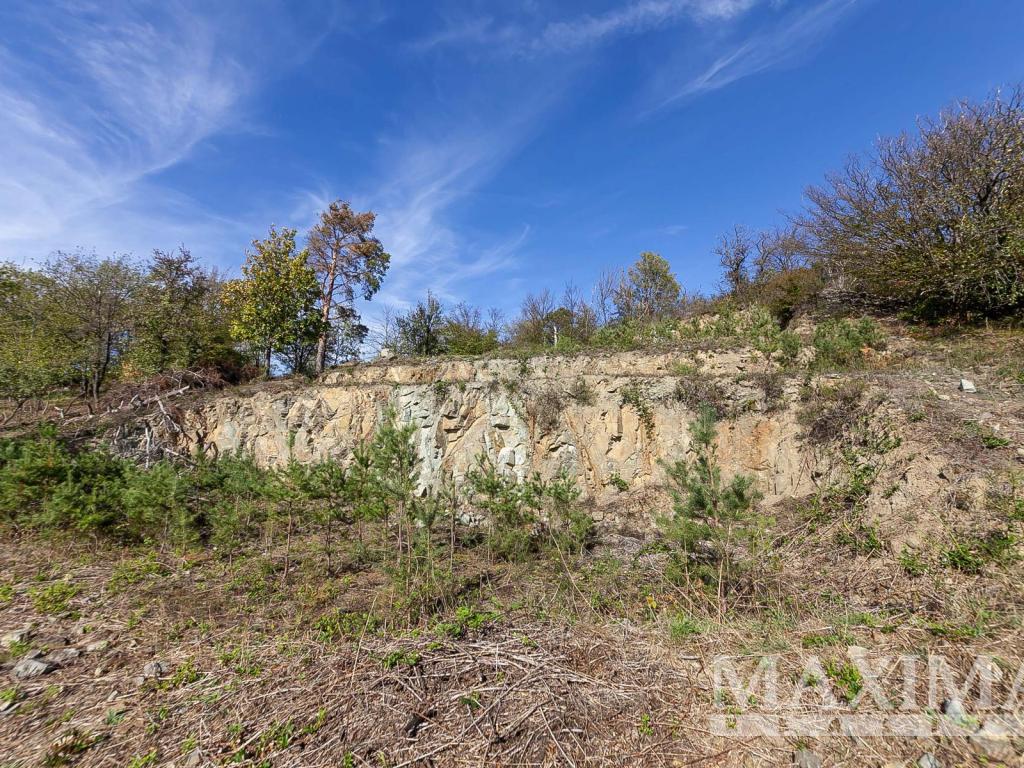 Prodej pozemku 7462 m2, Solenice – náhled fotky 13