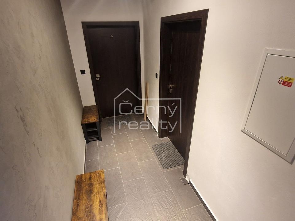 Pronájem bytu 1+kk 50 m2