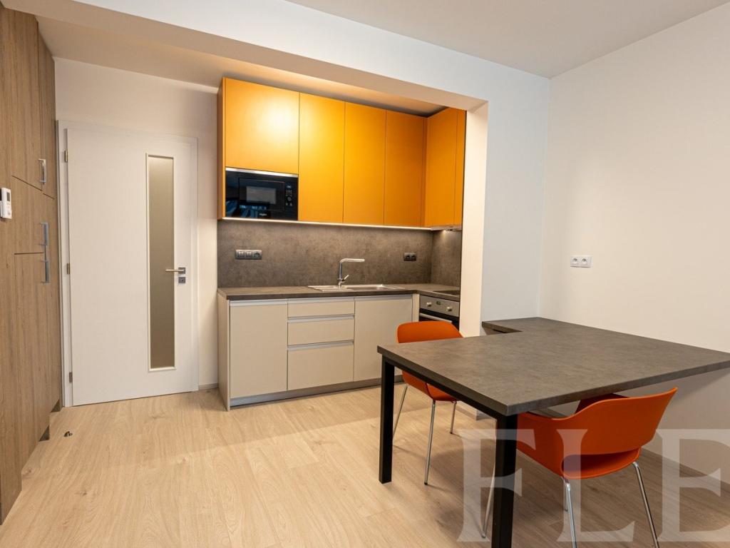 Pronájem bytu 1+kk 36 m2