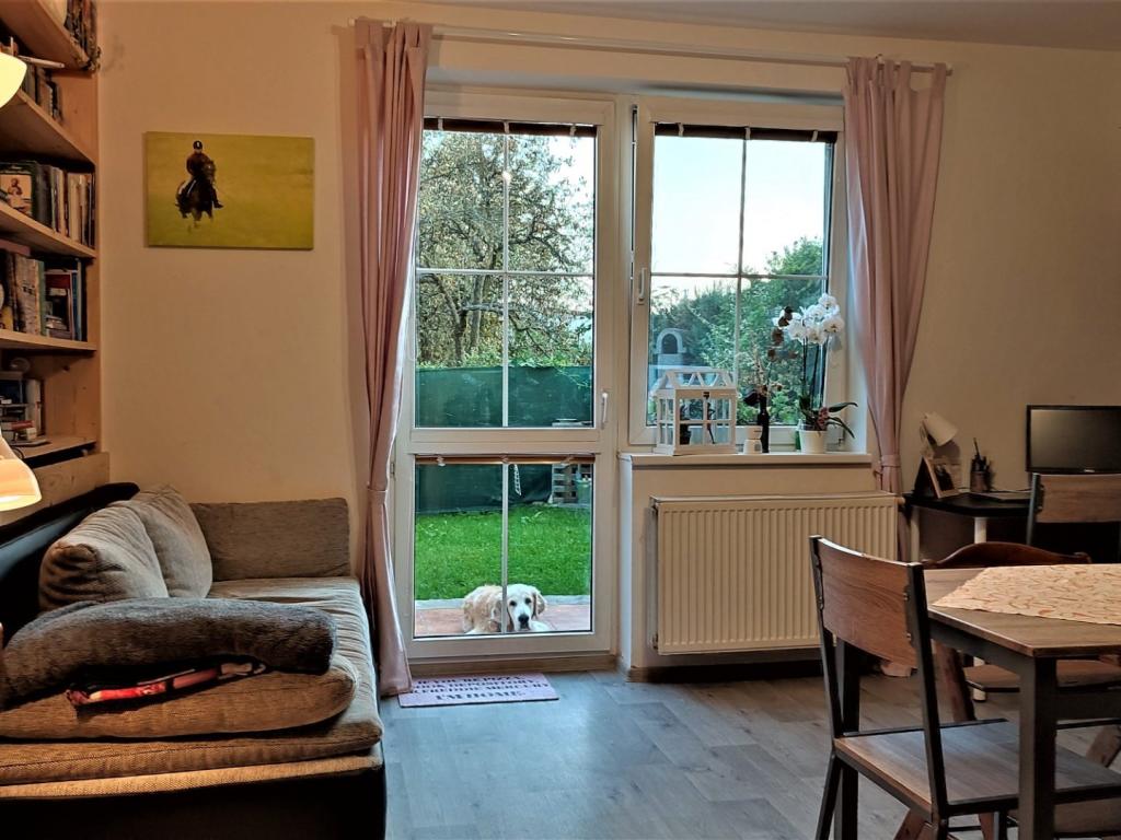 Pronajem bytu 2+kk 42 m2