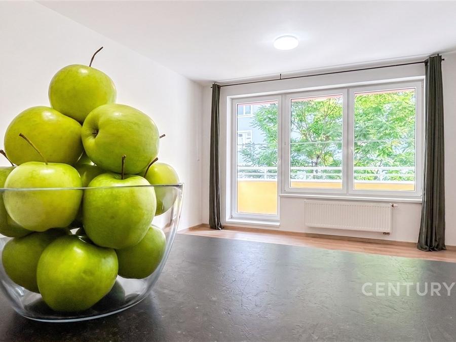 Pronájem bytu 1+kk 44 m2