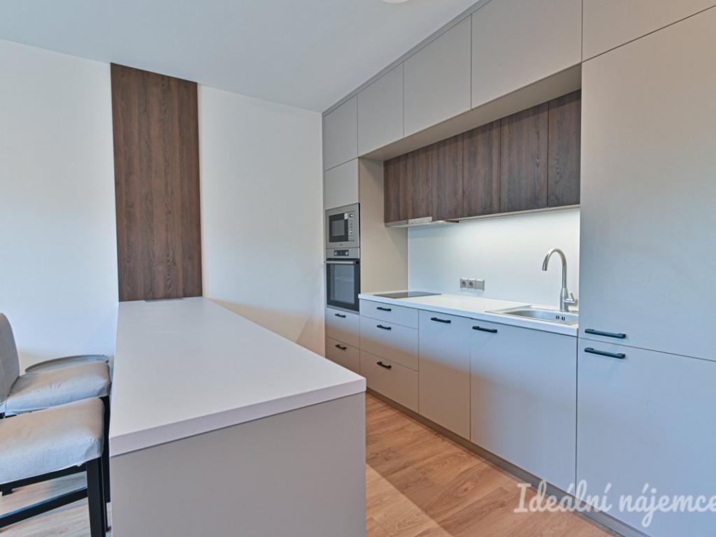 Pronájem bytu 1+kk 39 m2