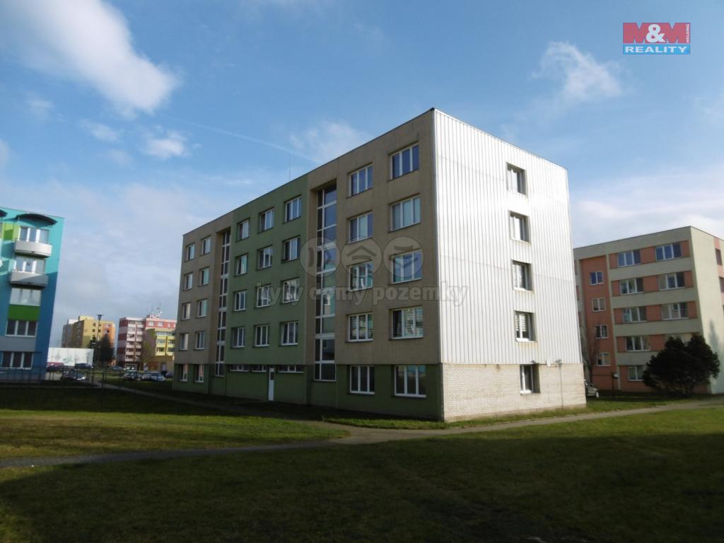 Pronajem bytu 3+1 65 m2