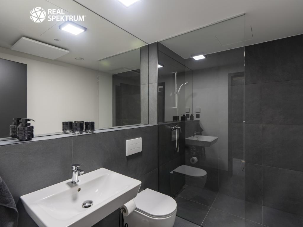 Pronájem bytu 1+kk 44 m2, Brno – náhled fotky 10