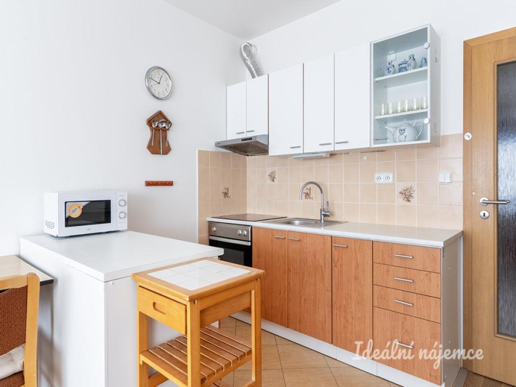 Pronájem bytu 1+kk 34 m2