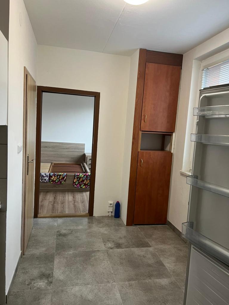 Pronájem bytu 3+1 63 m2