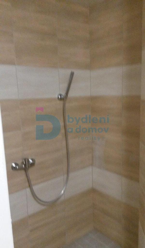 Pronájem bytu 1+1 45 m2