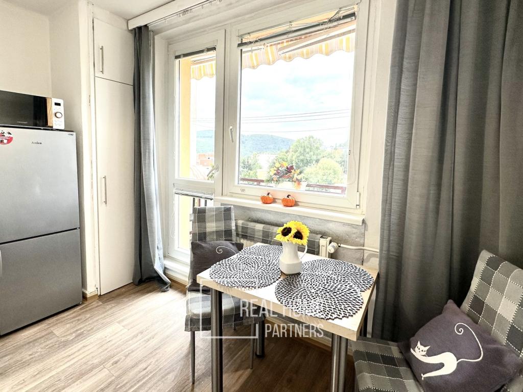 Pronájem bytu 1+1 37 m2