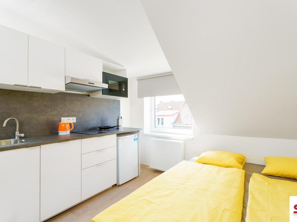 Pronájem bytu 1+kk 20 m2