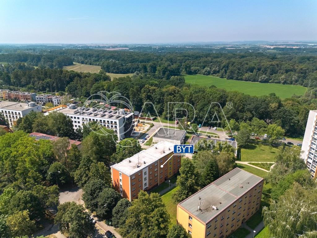 Prodej bytu 2+1 53 m2, Ostrava – náhled fotky 28