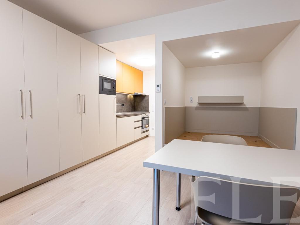 Pronájem bytu 1+kk 34 m2