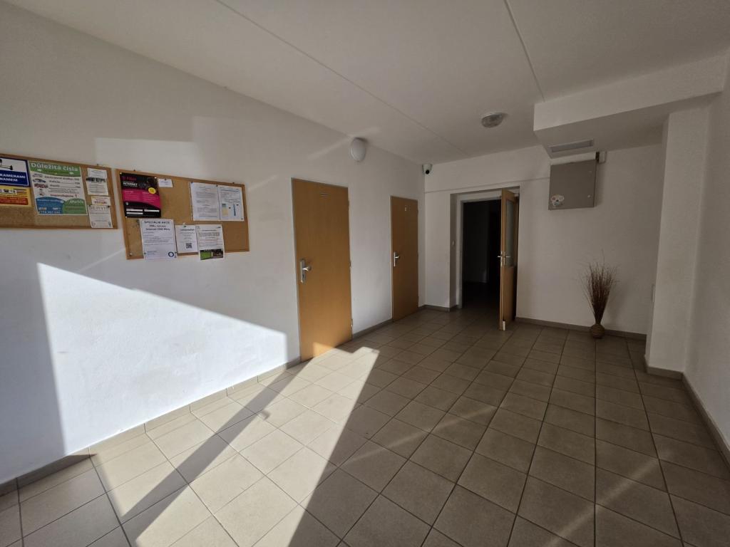 Pronájem bytu 2+kk 42 m2, Plzeň – náhled fotky 19