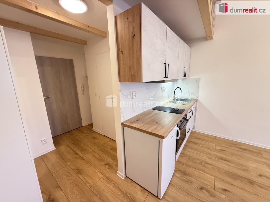 Pronájem bytu 1+kk 42 m2