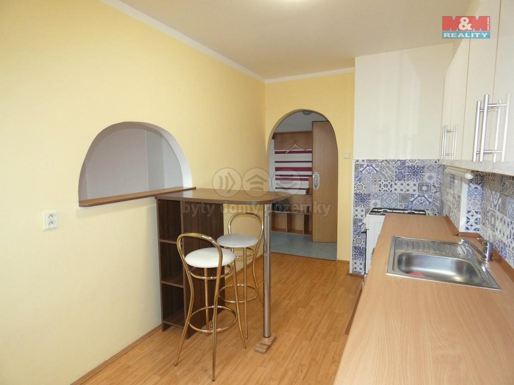 Pronajem bytu 1+1 40 m2