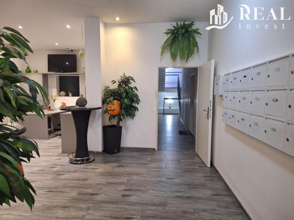 Pronájem bytu 1+kk 30 m2