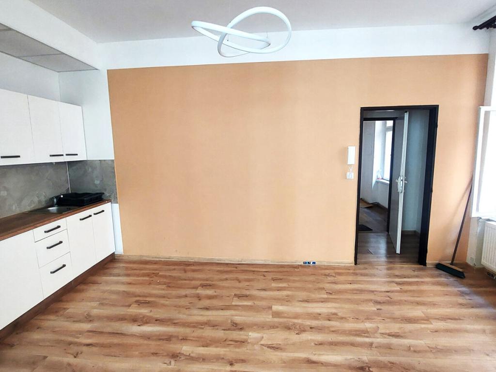 Pronájem bytu 1+1 55 m2