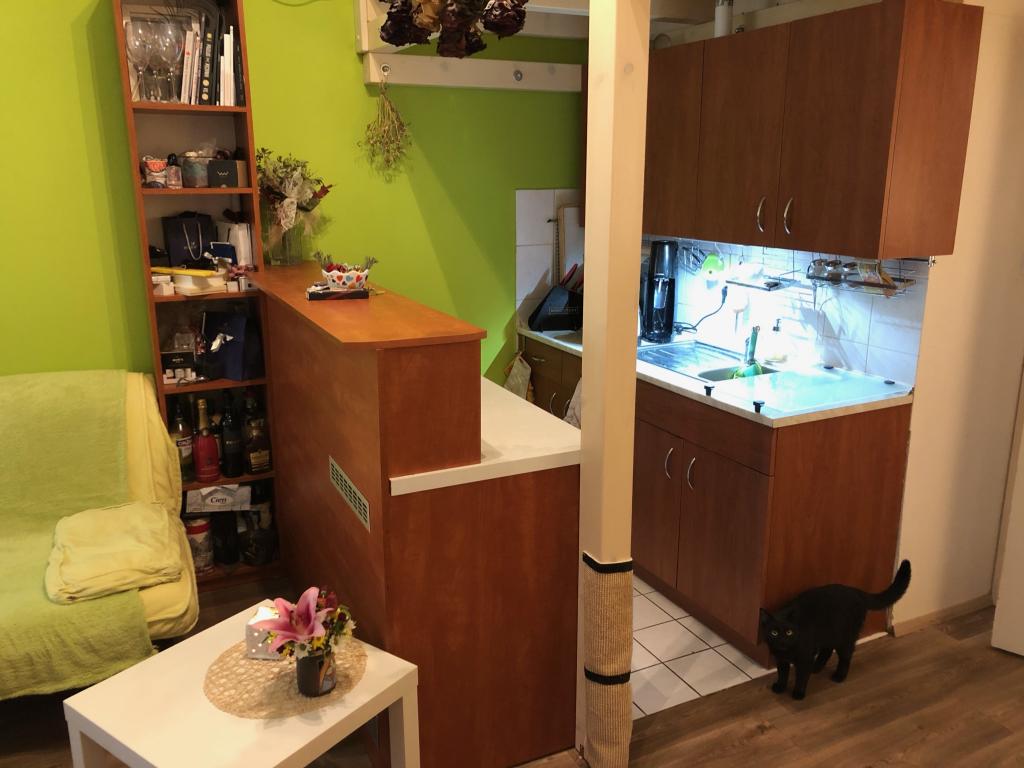 Pronajem bytu 1+kk 28 m2
