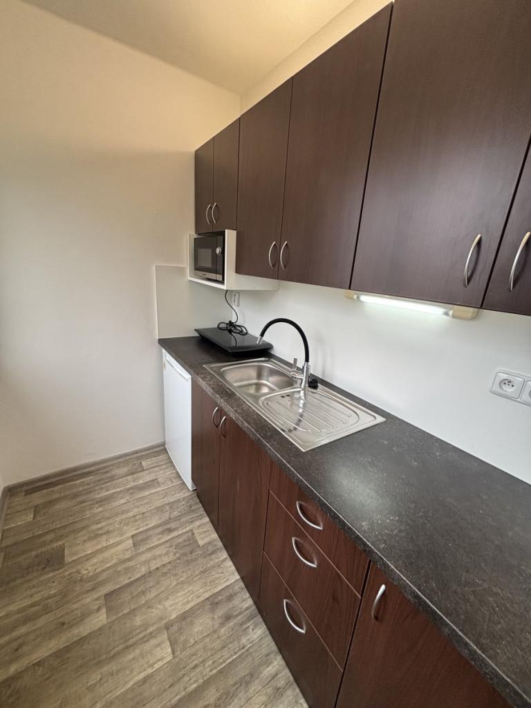 Pronájem bytu 1+kk 28 m2