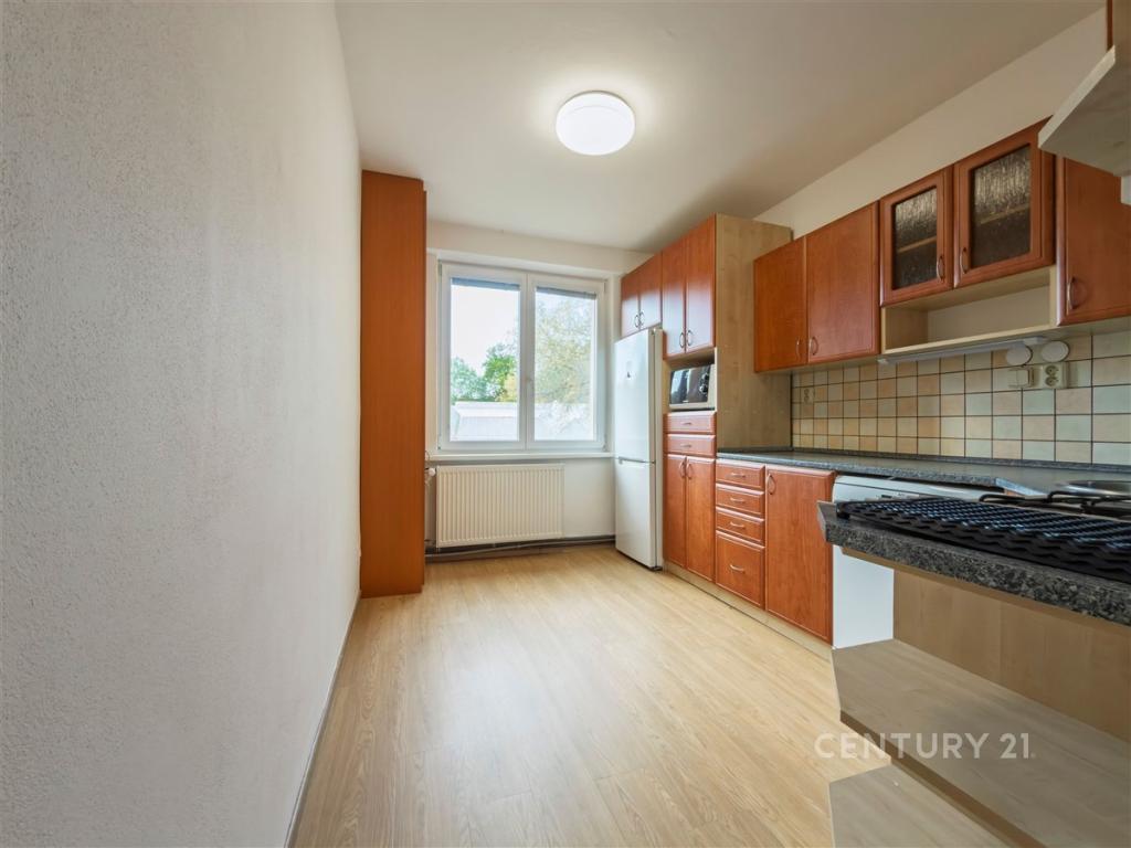 Pronájem bytu 3+1 73 m2