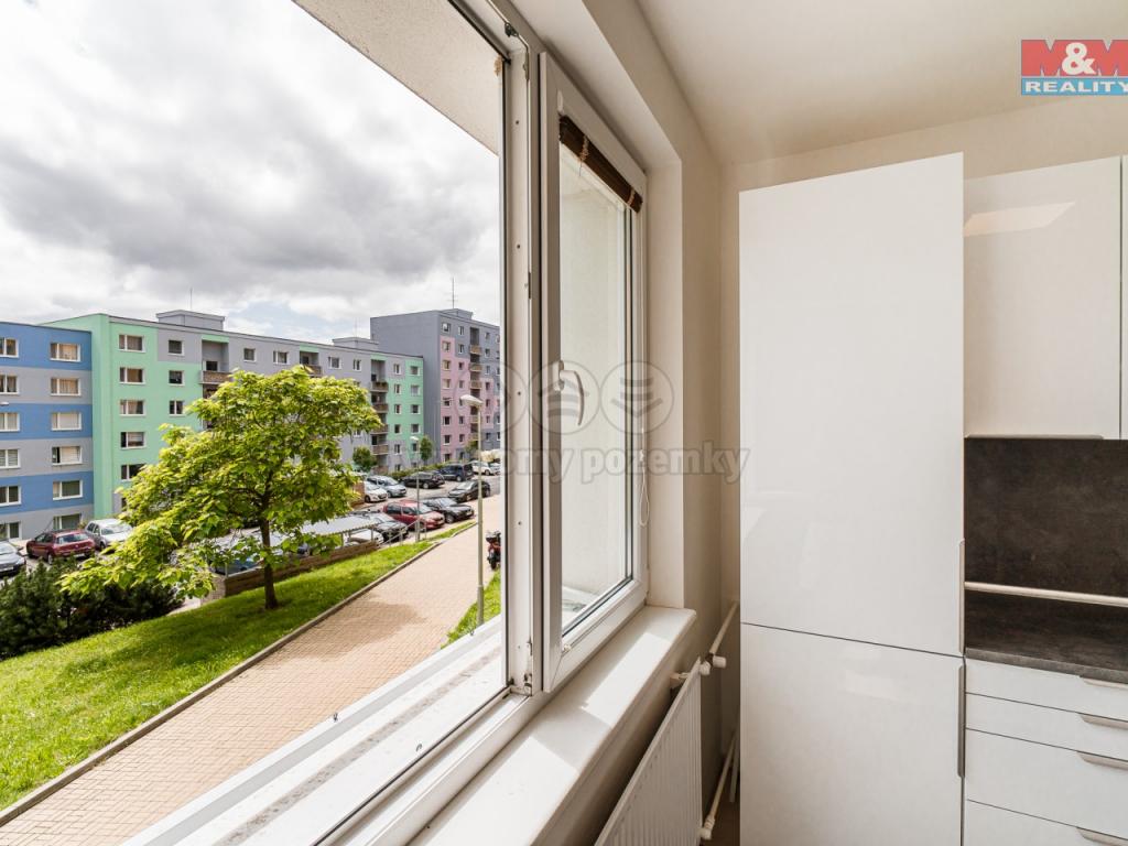 Pronajem bytu 1+1 40 m2