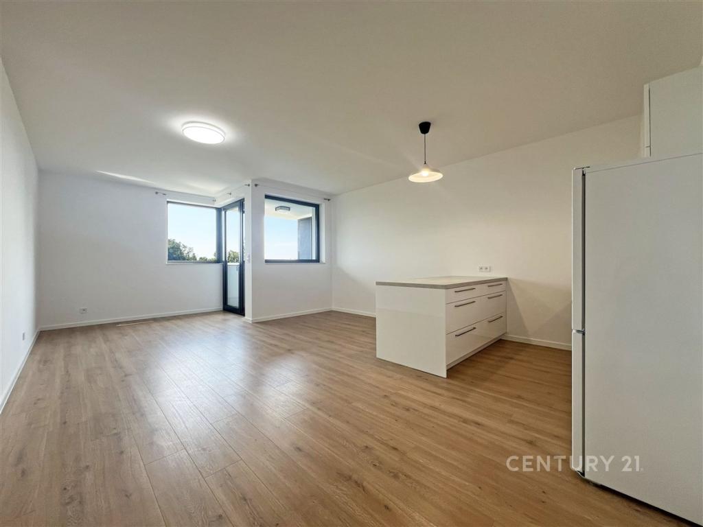 Pronájem bytu 1+kk 44 m2