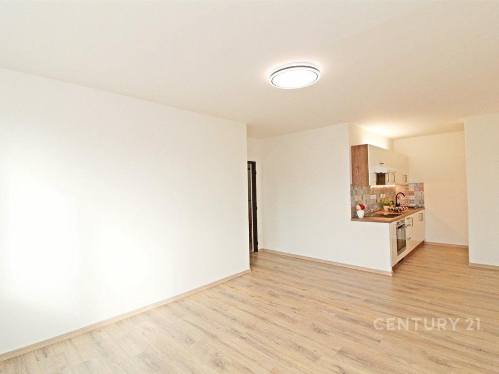Pronájem bytu 3+kk 53 m2