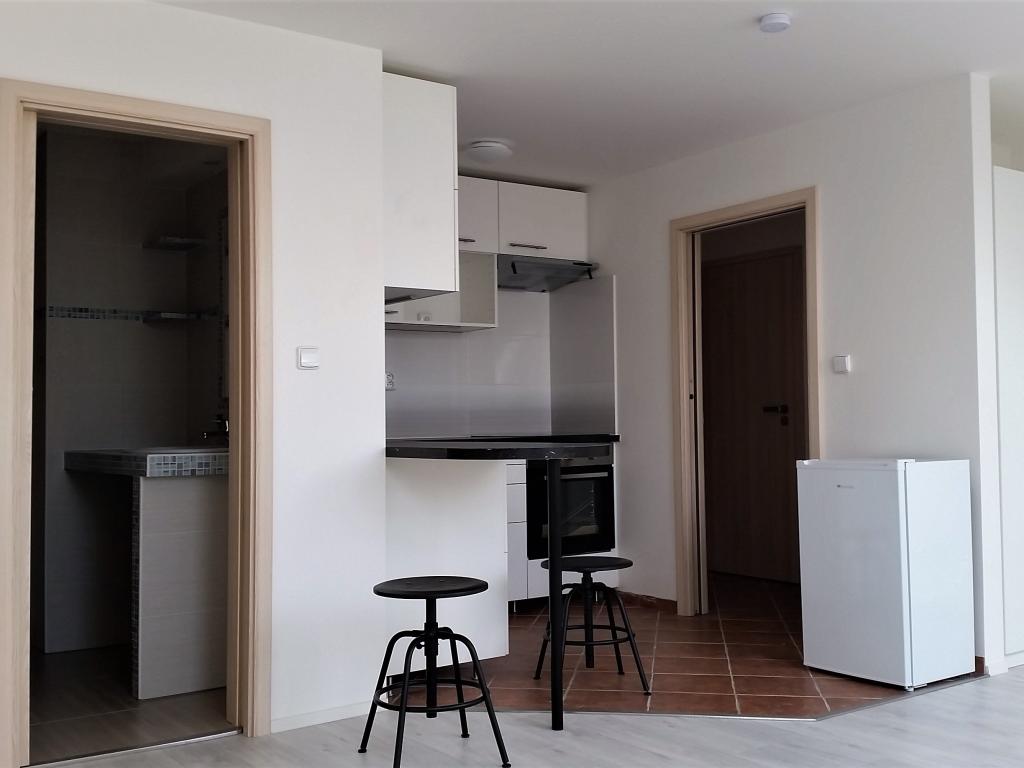Pronajem bytu 1+kk 42 m2
