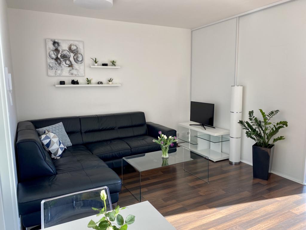 Pronajem bytu 1+kk 42 m2