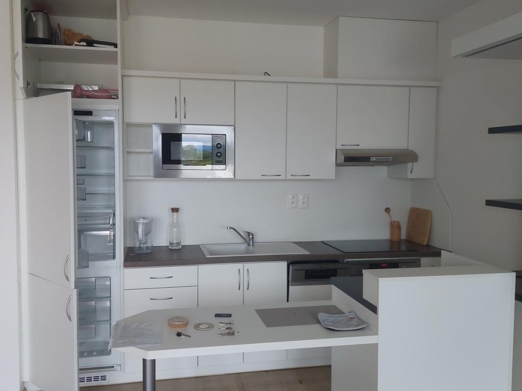 Pronájem bytu 1+kk 42 m2
