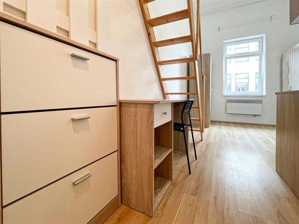 Pronájem bytu 1+kk 24 m2