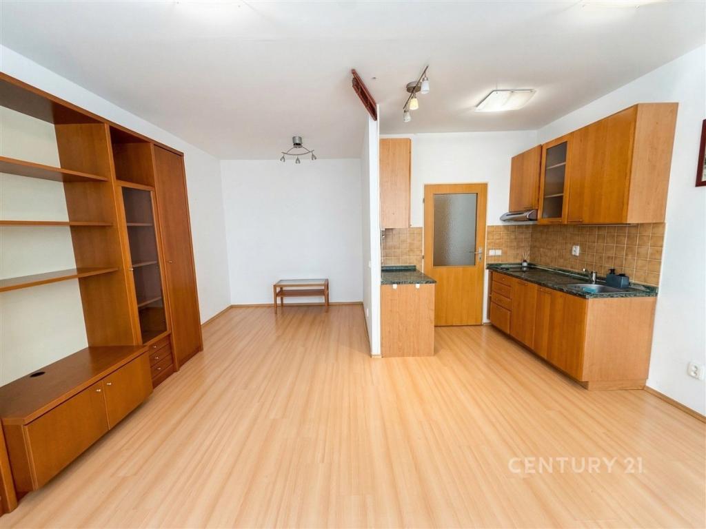 Pronájem bytu 1+kk 29 m2
