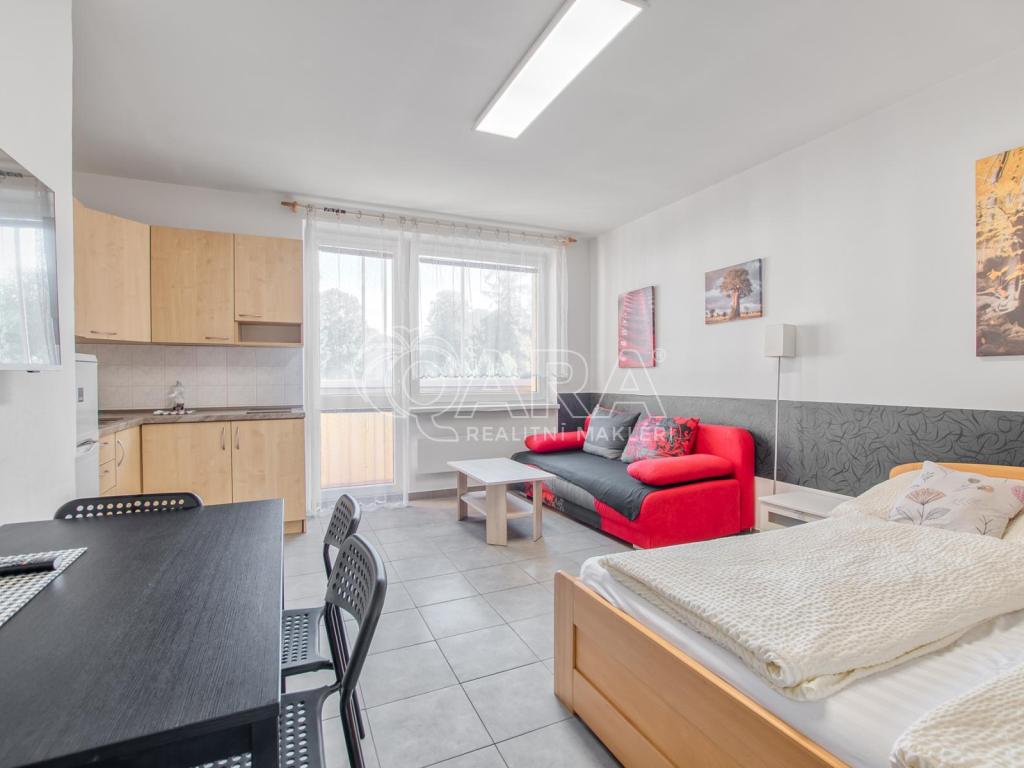 Pronájem bytu 1+kk 32 m2, Trojanovice – náhled fotky 2