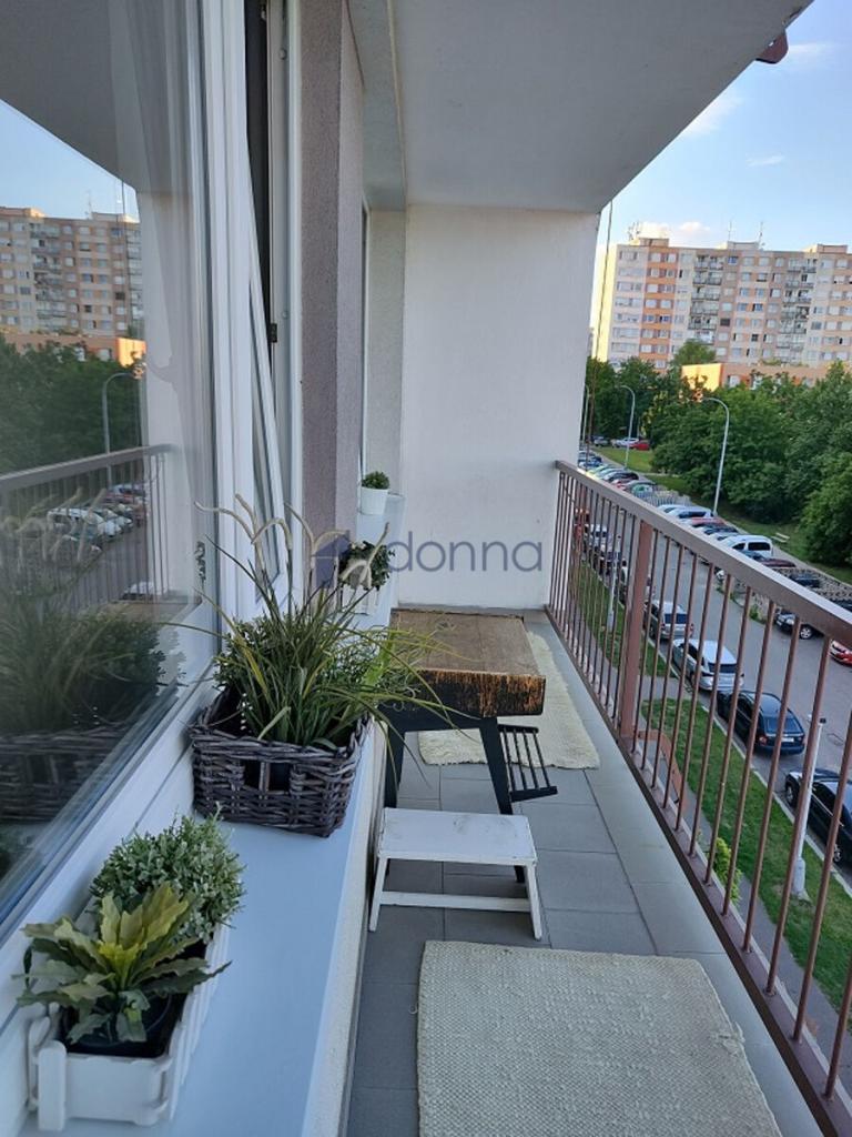 Pronájem bytu 3+kk 63 m2, Praha – náhled fotky 4