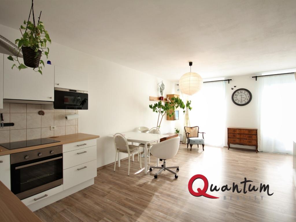 Pronájem bytu 1+kk 47 m2