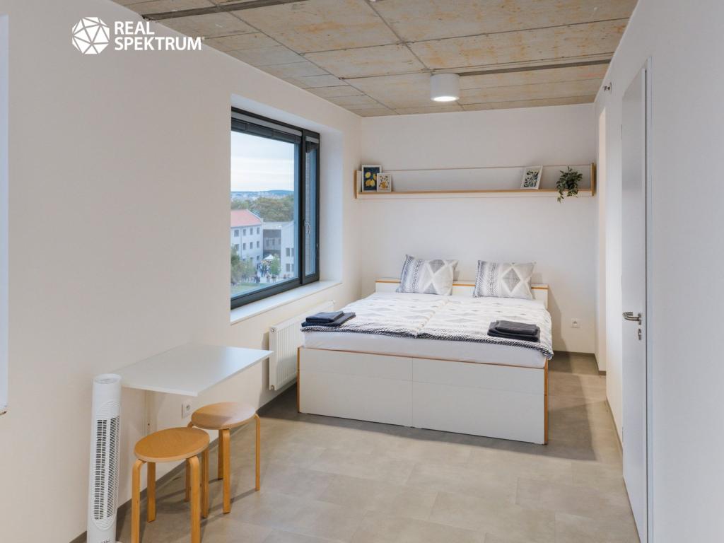 Pronájem bytu 1+kk 24 m2
