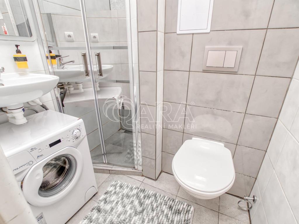 Pronájem bytu 1+kk 32 m2, Trojanovice – náhled fotky 9