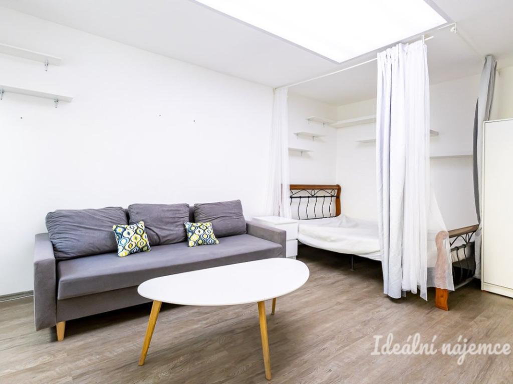 Pronájem bytu 1+1 31 m2