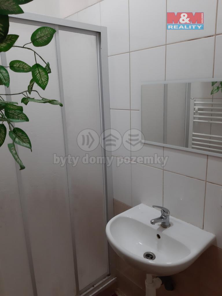 Pronajem bytu 1+kk 30 m2