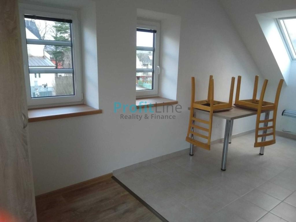 Pronájem bytu 1+kk 53 m2