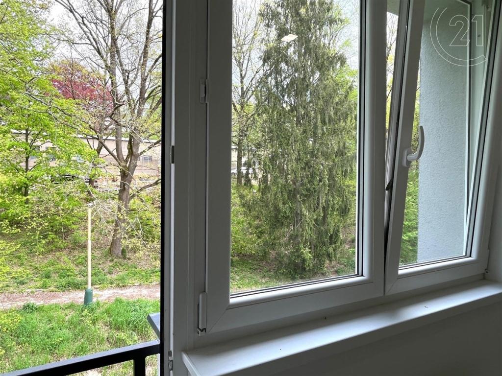 Pronájem bytu 2+1 50 m2