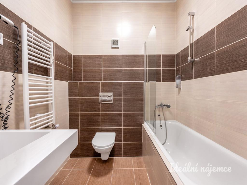 Pronájem bytu 1+kk 18 m2